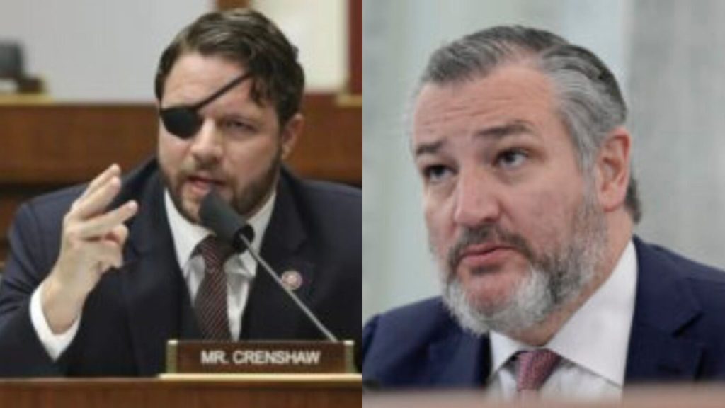 ‘You deserve an unwavering fighter’: Ted Cruz appears in campaign ad for Dan Crenshaw primary challenger