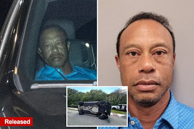 Tiger Woods released from Florida jail hours after DUI arrest