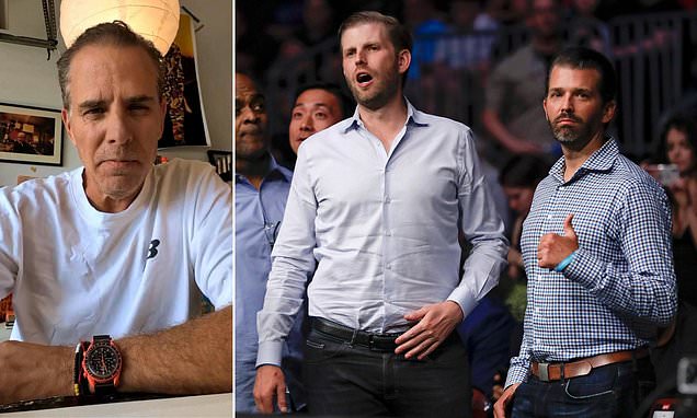 The cage fight everyone has been waiting for: Hunter Biden vs Don Jr and Eric Trump The cage fight everyone has been waiting for: Hunter Biden vs Don Jr and Eric Trump