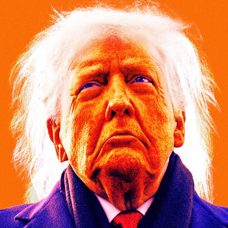 MAGA rebels fire back at Trump after ‘Low IQs’ comment… ‘grandpa’ has gone mad… MAGA rebels fire back at Trump after ‘Low IQs’ comment… ‘grandpa’ has gone mad…