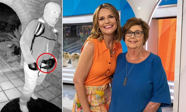 Law enforcement expert says Nancy Guthrie may have been taken to Mexico, citing masked gunman’s carry style as key clue Law enforcement expert says Nancy Guthrie may have been taken to Mexico, citing masked gunman’s carry style as key clue