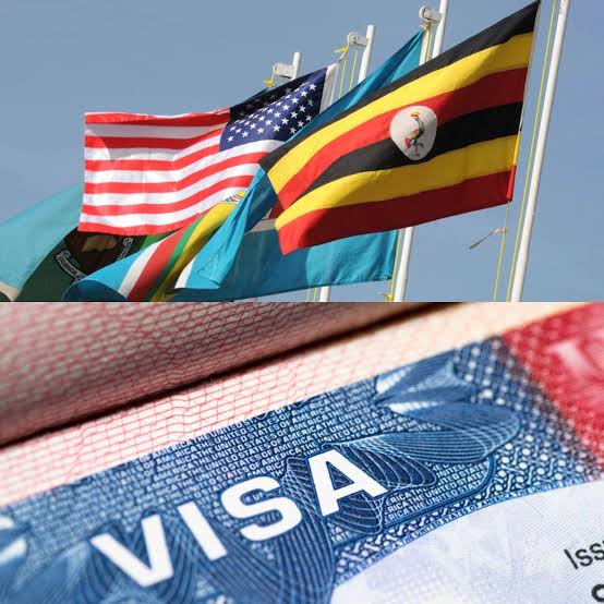 U.S. bans entry for non-citizens who visited these three countries U.S. bans entry for non-citizens who visited these three countries