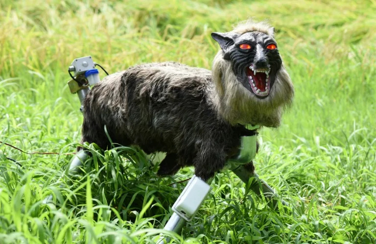 Japan’s ferocious ‘monster wolf’ robots in high demand amid rising bear attacks