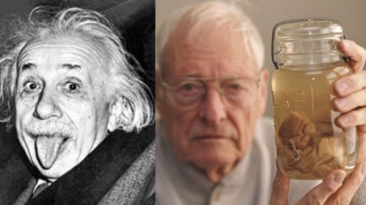 The scientist who stole Einstein’s brain (and kept it in mayonnaise)