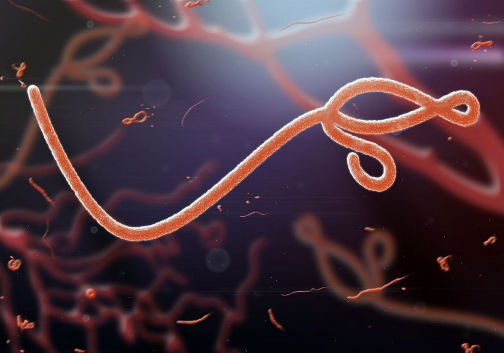 Ebola: France confirms first case in doctor returning from Congo