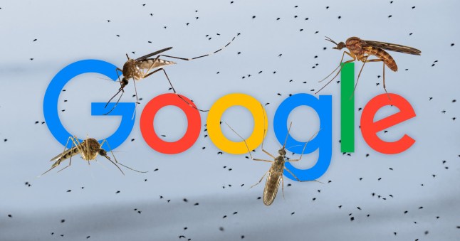 Google plans to release 32 million infected mosquitoes into the wild.