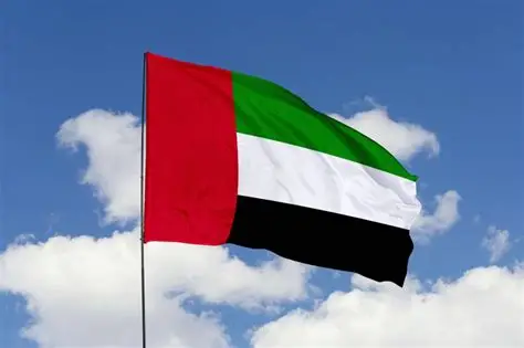 UAE bars under-15s from social media UAE bars under-15s from social media