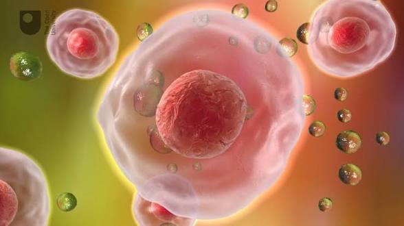 Scientists build cell entirely from scratch for the first time